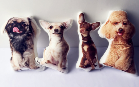 Oreiller mignon en forme d'animal de compagnie, coussin de canapé personnalisé, bricolage, coussin de voiture