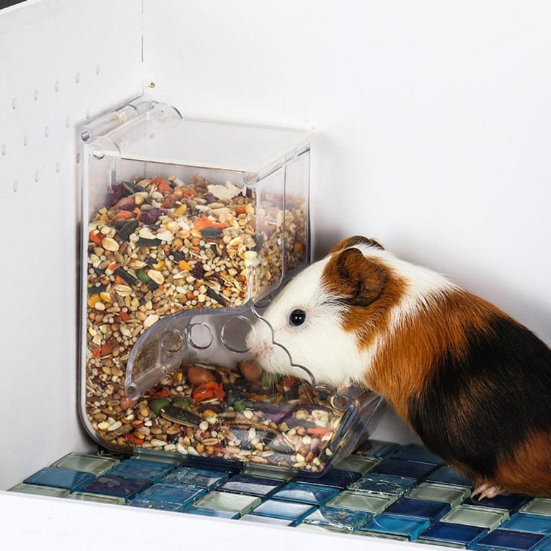 Hamster Feeder Food Box Can Be Fixed - PetsWage