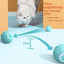 PetsWage™ Interactive Smart Cat Rolling Ball