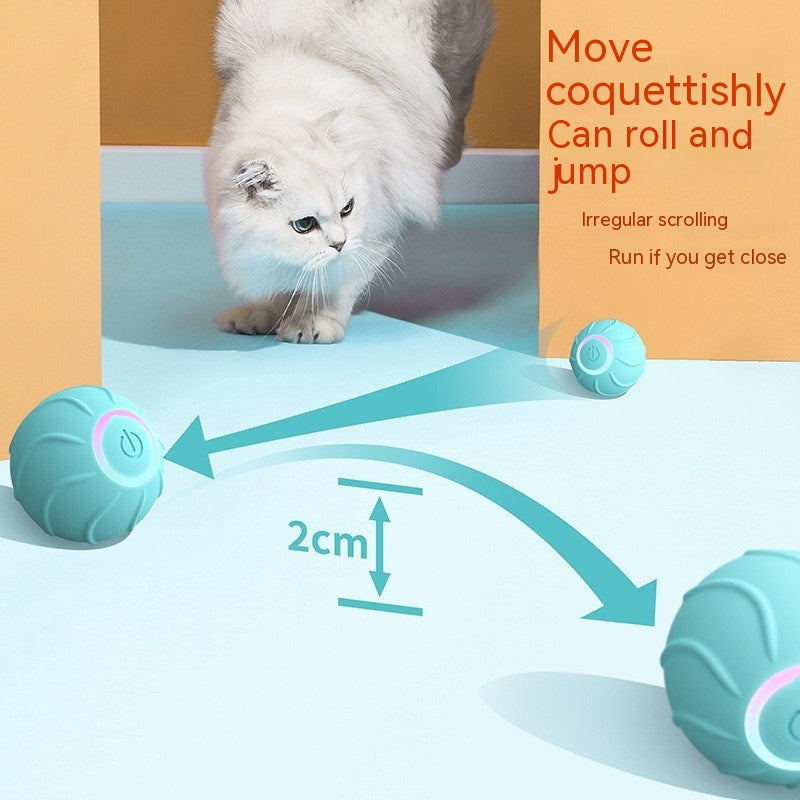 PetsWage™ Interactive Smart Cat Rolling Ball