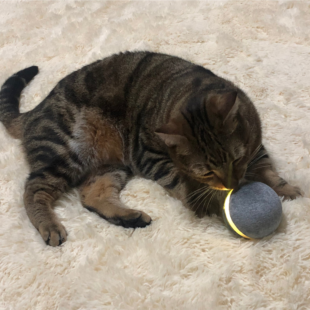 Cat toy bouncing ball