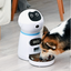 Automatic pet feeder