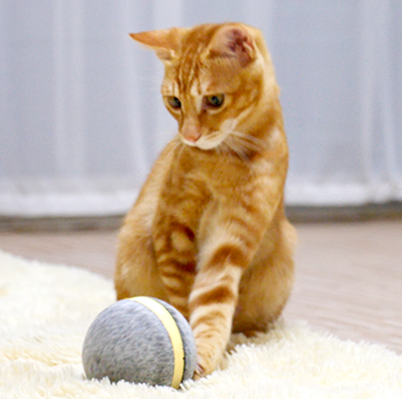 Cat toy bouncing ball