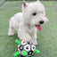 Interactive Football Dog Toy - Score Big with Playtime Fun for Your Canine Athlete! Durable Lightweight Tough Fetch & Tug Soccer chew Toy For Puppy & Dogs