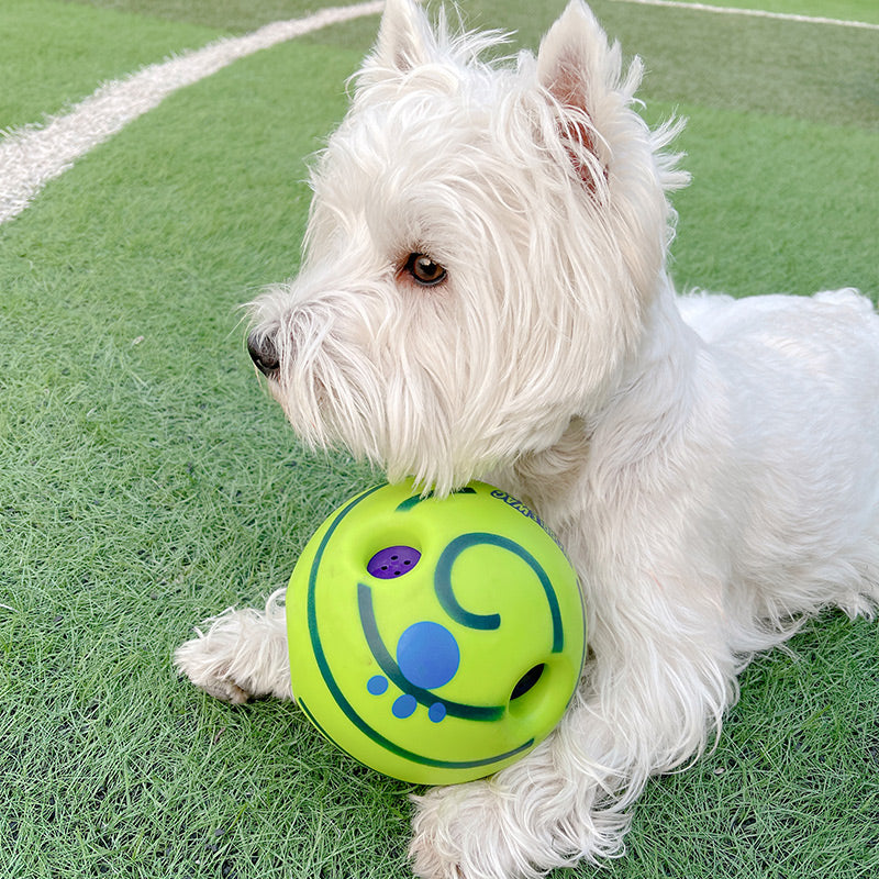 Interactive Football Dog Toy - Score Big with Playtime Fun for Your Canine Athlete! Durable Lightweight Tough Fetch & Tug Soccer chew Toy For Puppy & Dogs