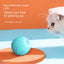 PetsWage™ Interactive Smart Cat Rolling Ball