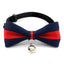 Cat bell collar - PetsWage