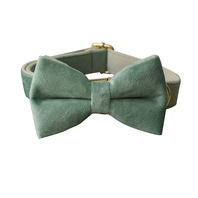 Mint Green Dog Collar Leash - PetsWage