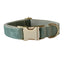 Mint Green Dog Collar Leash - PetsWage