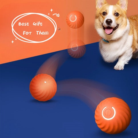 Dog Rubber Ball Toys For Dogs Resistance To Bite Dog Chew Toys Puppy Pets Dogs Training Products - PetsWage