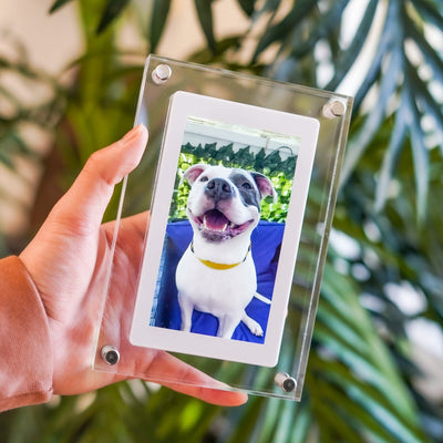 PetsWage™ Digital Pet Memory Frame