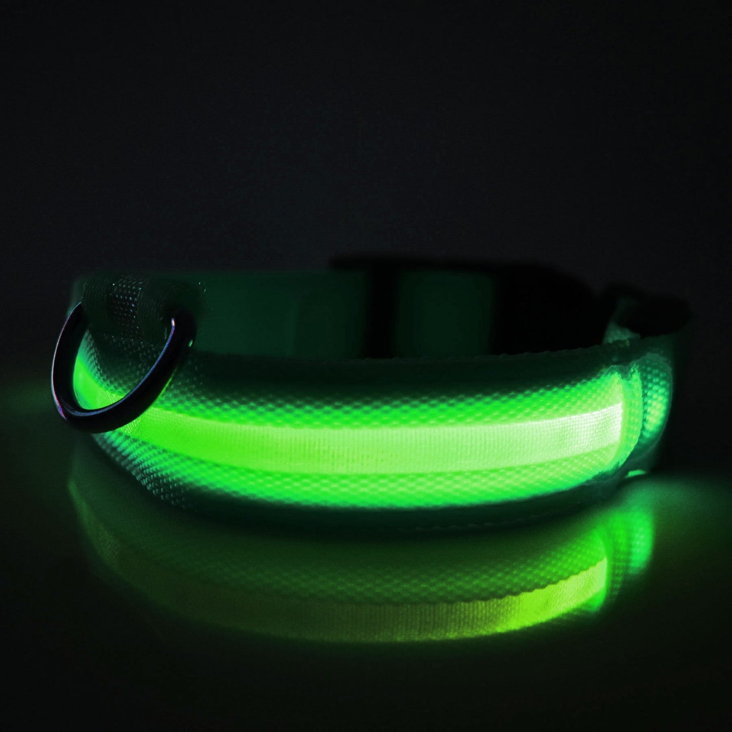 PetsWage™ LED Safety Dog Collar