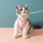 PetsWage™ Luminous, Secure Cat Harness and Leash Set