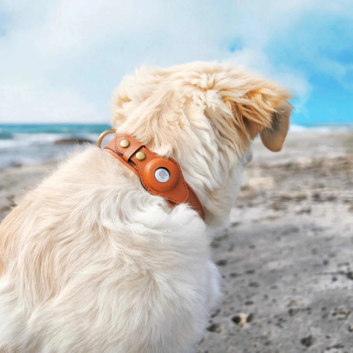 PetsWage™ Airtag Dog Collar