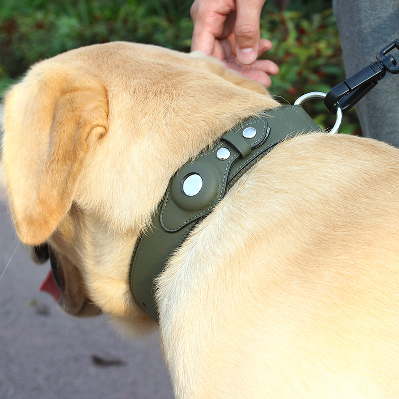 PetsWage™ Airtag Dog Collar