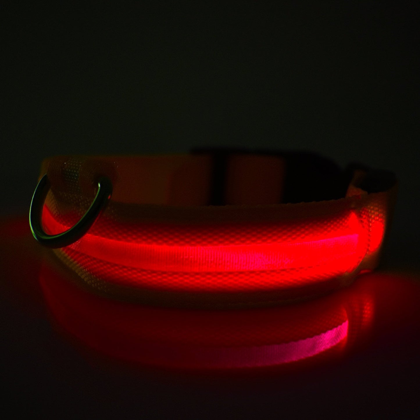 PetsWage™ LED Safety Dog Collar