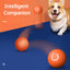 PetsWage™ Smart Teasing Dog Ball