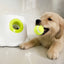 PetsWage™ Automatic Pet Ball Launcher