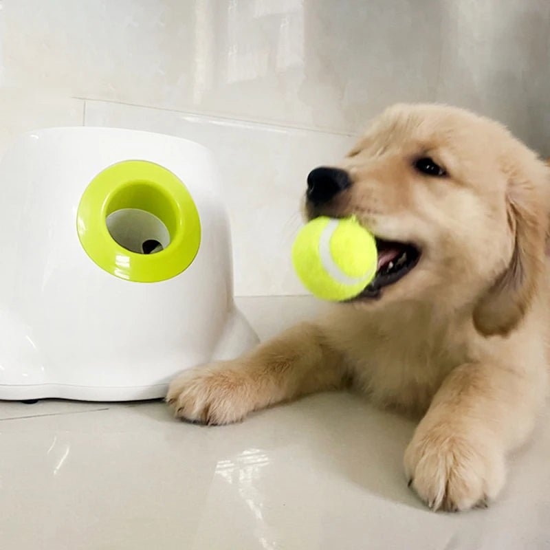 PetsWage™ Automatic Pet Ball Launcher