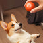 PetsWage™ Smart Teasing Dog Ball