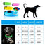 PetsWage™ LED Safety Dog Collar