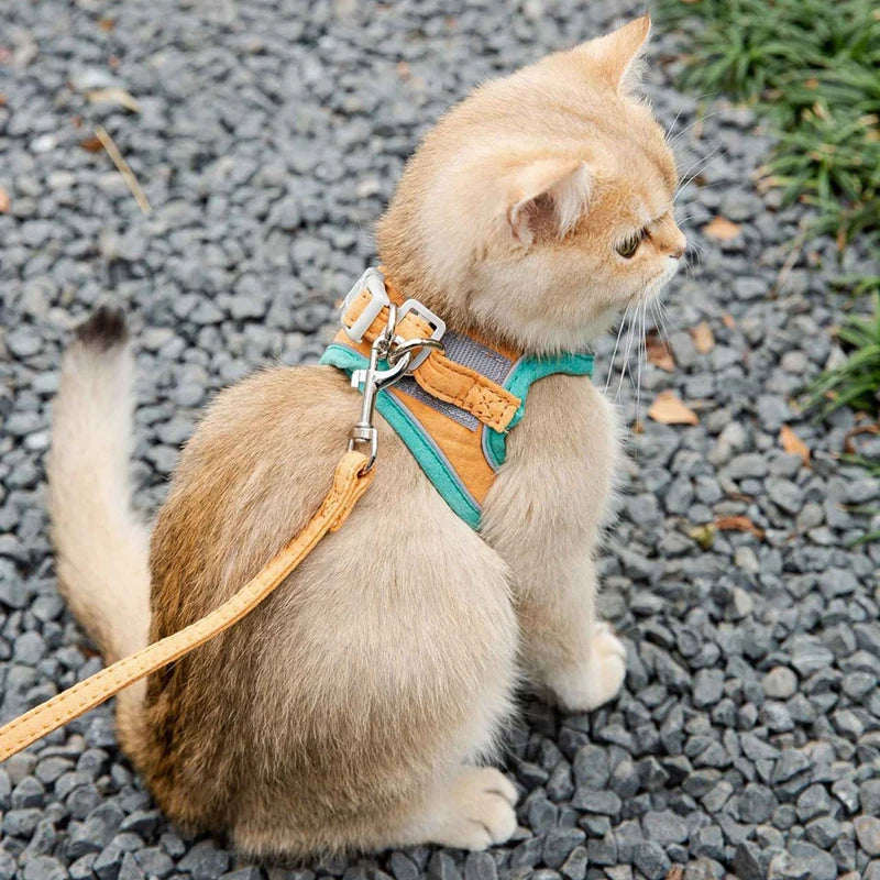 PetsWage™ Luminous, Secure Cat Harness and Leash Set