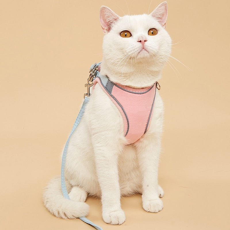 PetsWage™ Luminous, Secure Cat Harness and Leash Set