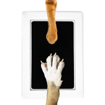 PetsWage™ Paw Print Kit