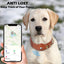 PetsWage™ Airtag Dog Collar