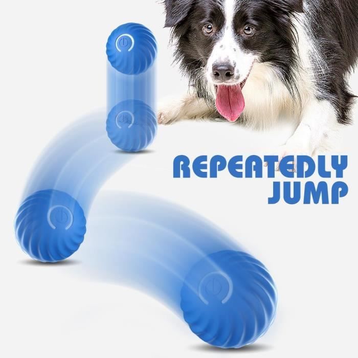 PetsWage™ Smart Teasing Dog Ball