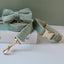 Mint Green Dog Collar Leash - PetsWage